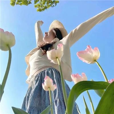 巅峰拍档第十九季